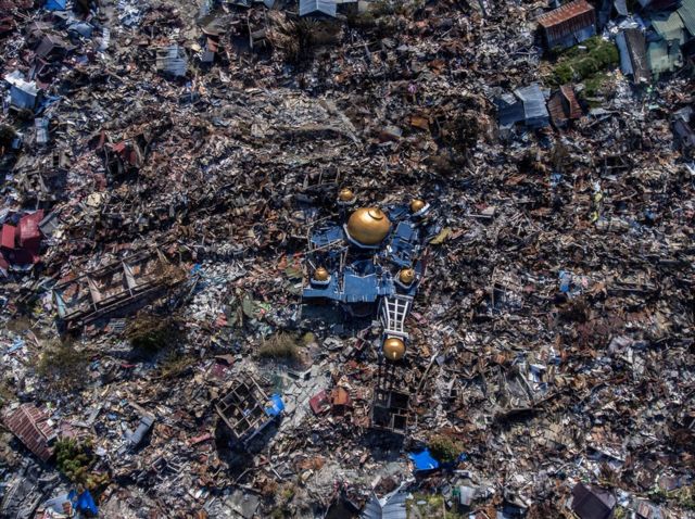 空から見る インドネシア津波の被災と生存 cニュース