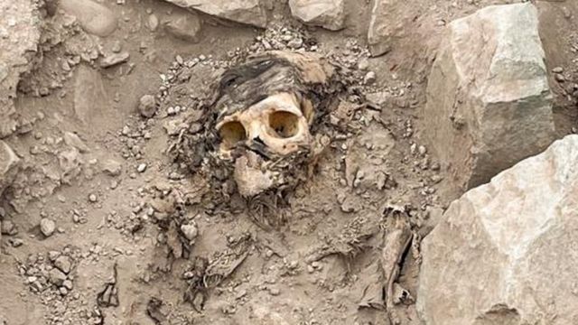 Los restos de una momia, que se cree que pertenece a la cultura Manchay que habitó en los valles de Lima entre 1500 y 1000 a. C., se muestran en el sitio de excavación de un entierro prehispánico, en Lima, Perú, el 14 de junio de 2023.