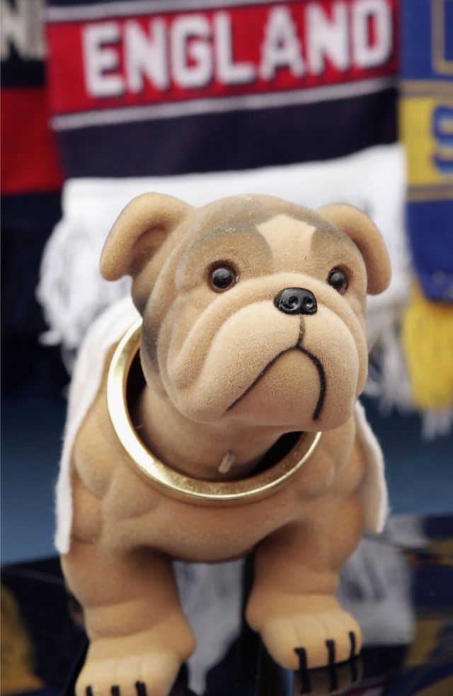 English Bulldog Health Problems Prompt Cross Breeding Call c News