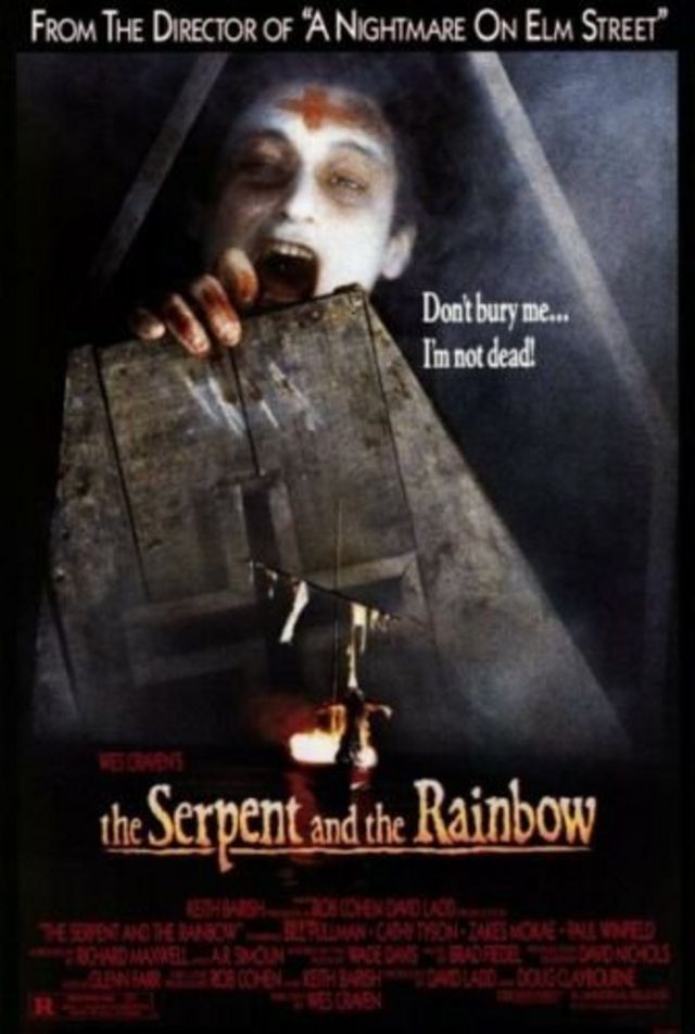 Affiche du film "Le serpent et l'arc-en-ciel".