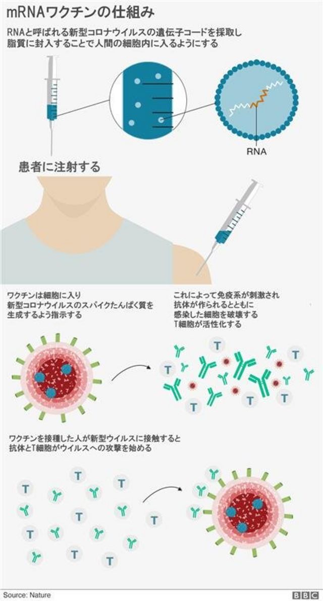新型 コロナ ウイルス ワクチン ファイザー