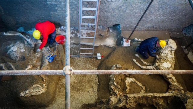 Байыркы Помпей шаары жайгашкан аймактагы археологиялык казуу маалында жылкынын калдыктары табылды.