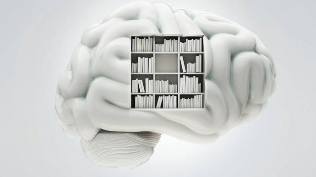 Cerebro con libros