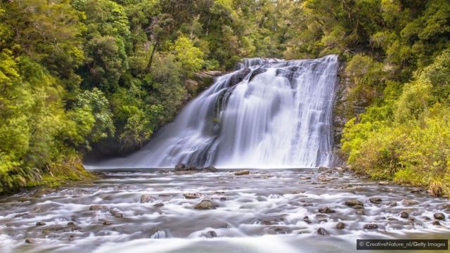 Rừng thiêng New Zealand là nơi tuyệt vời để bạn ngắm cảnh thiên nhiên đẹp như tranh vẽ. Những hình ảnh của rừng thiêng làm nổi bật những màu sắc đẹp như mơ, toát lên cảm giác bình yên và sự tốt đẹp của cuộc sống.