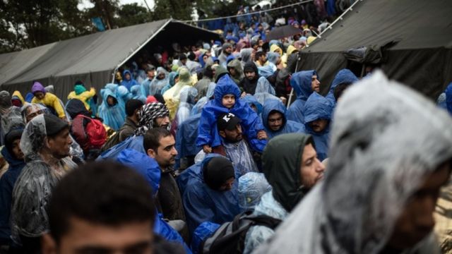 Migrants wait to enter Croatia from Serbia near Berkasovo, 19 October