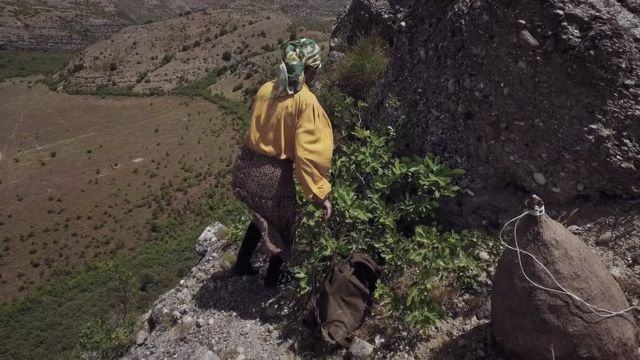 Hatidze approaches a beehive on a cliff