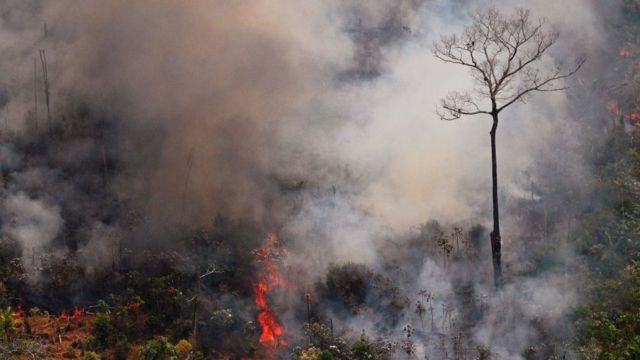 Amazonas tras los incendios, 23 agosto 2019