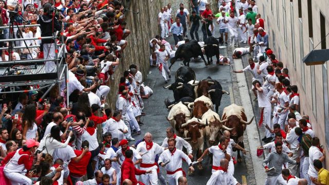 Bulls and runners in Pamplona 2018