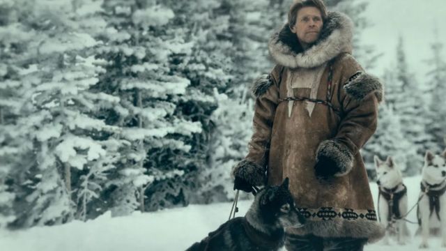 Филм Того (2019) се бави Норвежанином Леонардом Сепалом (Виљем Дефо) који управља санкама и његовим изузетним хаскијем
