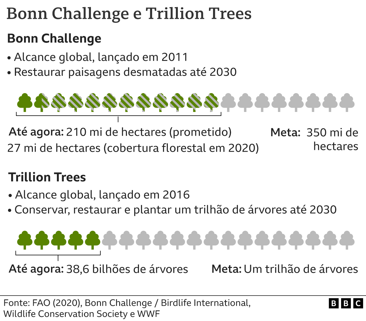 Bonn Challenge e Trillion Trees