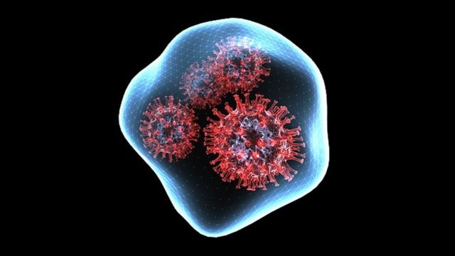 கொரோனா வைரஸ் - கோப்புப் படம்