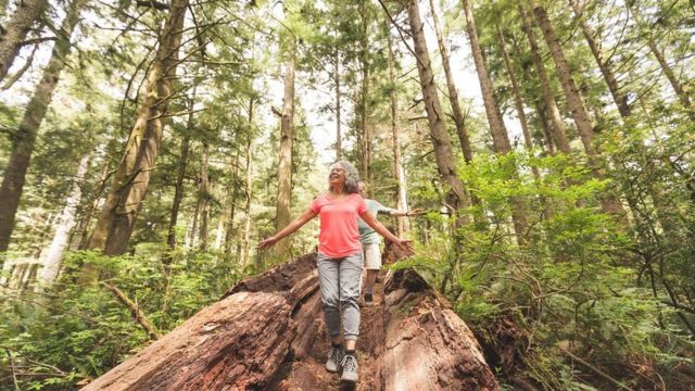 An older couple enjoy a hiking trip