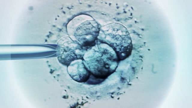 doğurganlık tedavisi