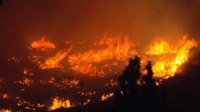 Wildfire