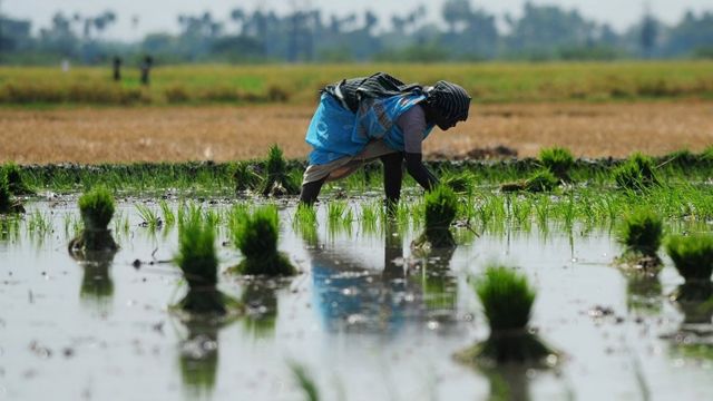 தஞ்சாவூர் நாடாளுமன்ற தொகுதி கடந்து வந்த பாதை Thanjavur