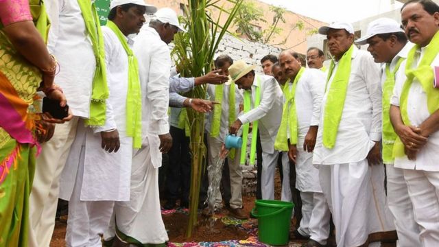 హరితహారం మొక్కల పెంపకం తెలంగాణ