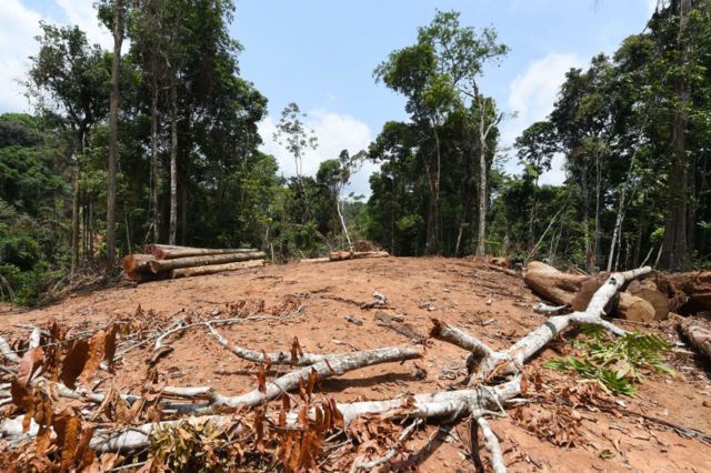 Área da Floresta Amazônica devastada em Pacajá, a 620 km de Belém do Pará