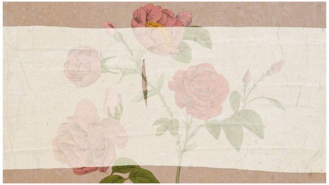 Illustration de roses recouvertes de mousseline