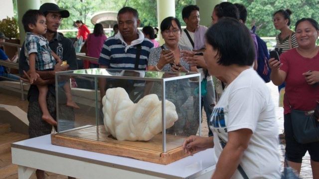 Perla gigante de 34 kilos expuesta en Puerto Princesa