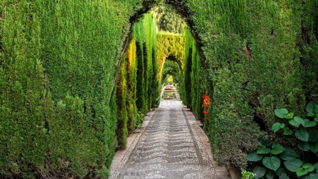 错综复杂的水道系统为毗邻阿尔罕布拉宫的赫内拉利费宫著名的花园增添了色彩（Credit: Juana Mari Moya/Getty Images）(photo:BBC)