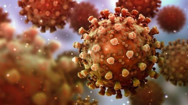 Hong Konglu hastadaki virüs genetik olarak Avrupa'da yayılan koronavirüsün aynısı