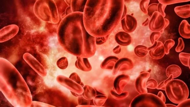 ரத்தப் பிரிவுகள் - அதிகம் அறியப்படாத தகவல்கள்