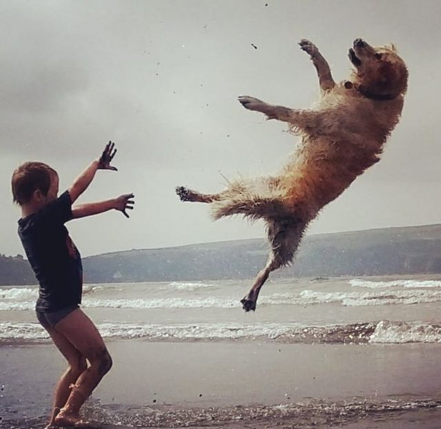 A boy makes a dog fly