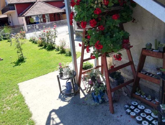 Bašta Suzana Belušević