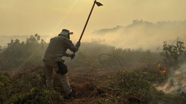 Diversas equipes de bombeiros e brigadistas tentam conter queimadas no Pantanal