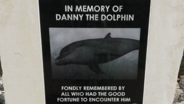 Dolphin memorial