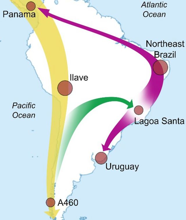 Mapa de rutas migratorias antiguas en América Latina