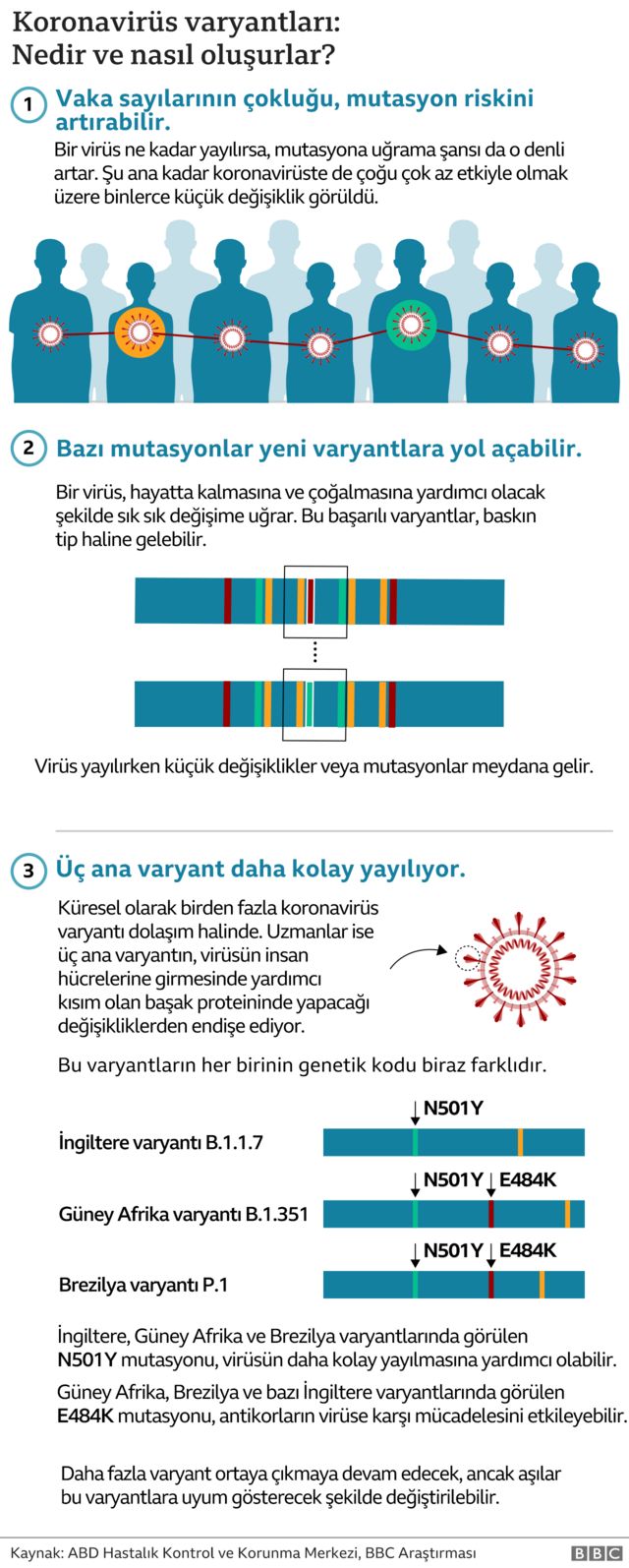 grafik