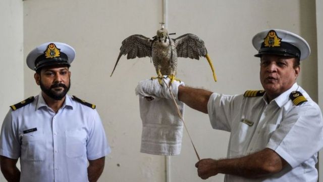باز