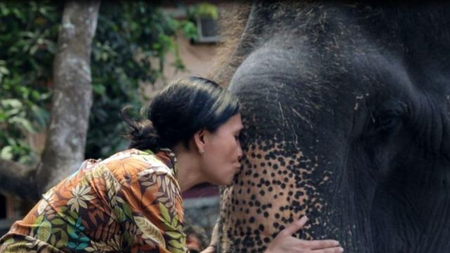 Sangita kissing Lakshmi`s trunk