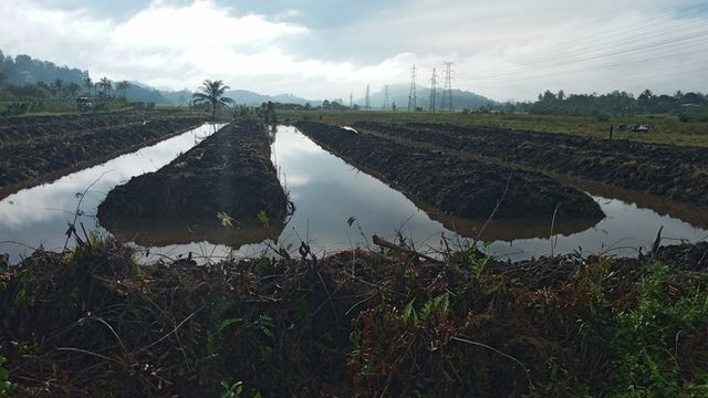 Agriculture Sri Lanka