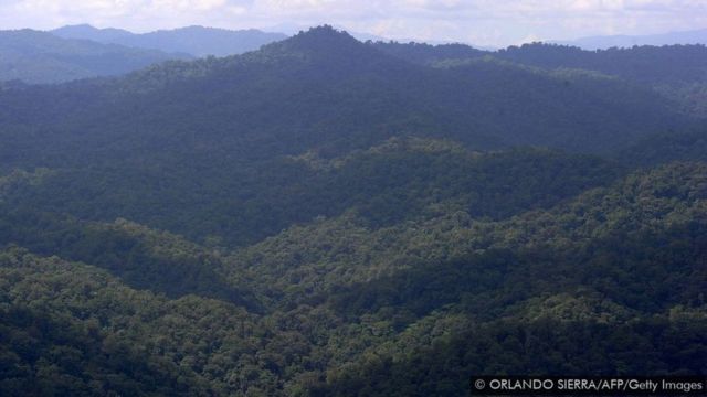 Jogo de cobra com rio na floresta