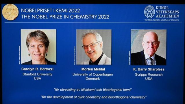 Premio Nobel de Química 2022: los ganadores son Carolyn Bertozzi, Morten  Meldal y Barry Sharples por su desarrollo de la química click y  bioortogonal - BBC News Mundo