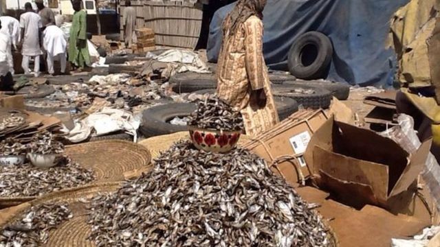 Baga Fish Market