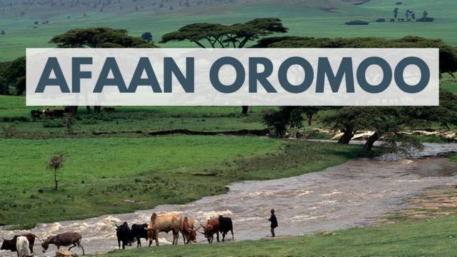 Afaan Oromoo