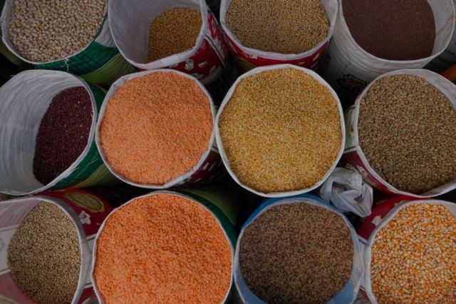 தானியங்கள்