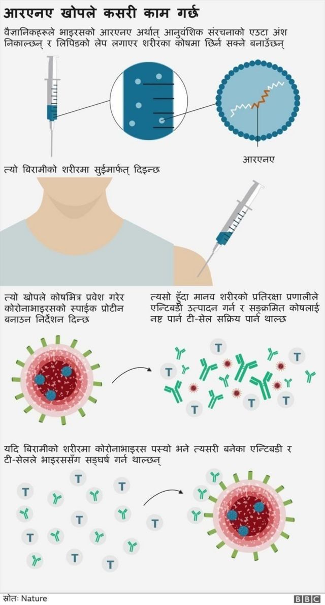 कोरोनाभाइरस खोप