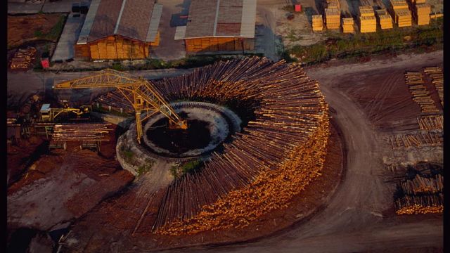 மரத்திலிருந்து உருவாகும் பேட்டரிகள்