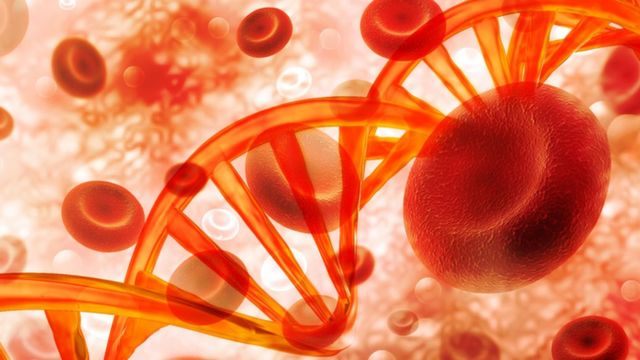 Colesterol alto causado por muta&ccedil;&otilde;es do DNA est&aacute; entre as doen&ccedil;as gen&eacute;ticas  mais comuns - BBC News Brasil