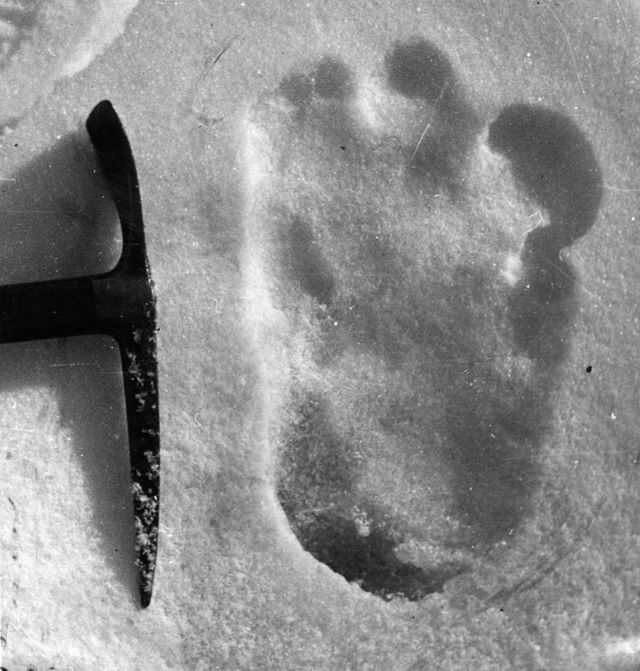 Uma das fotografias das supostas pegadas do Yeti tiradas por Eric Shipton em 1951, perto do Monte Everest