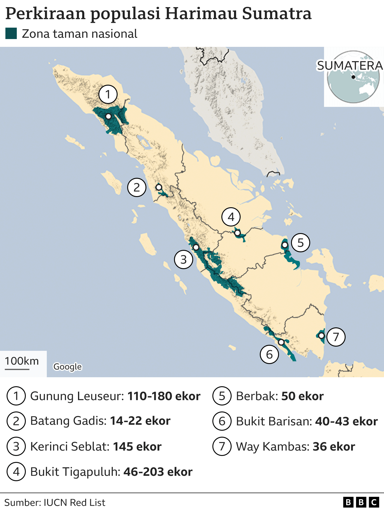 Cara Bunuh Specimen 043 di Hutan