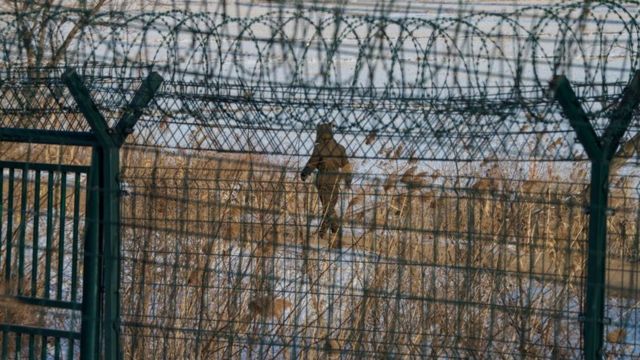 Una enorme reja de alambres púas separa la frontera entre Corea del Norte y China.
