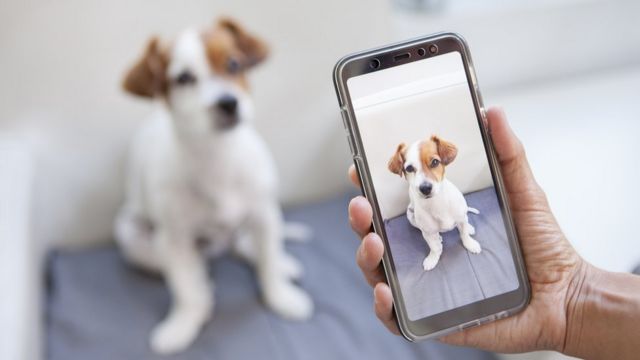 Todo mundo tem fotos em seus celulares com valor sentimental