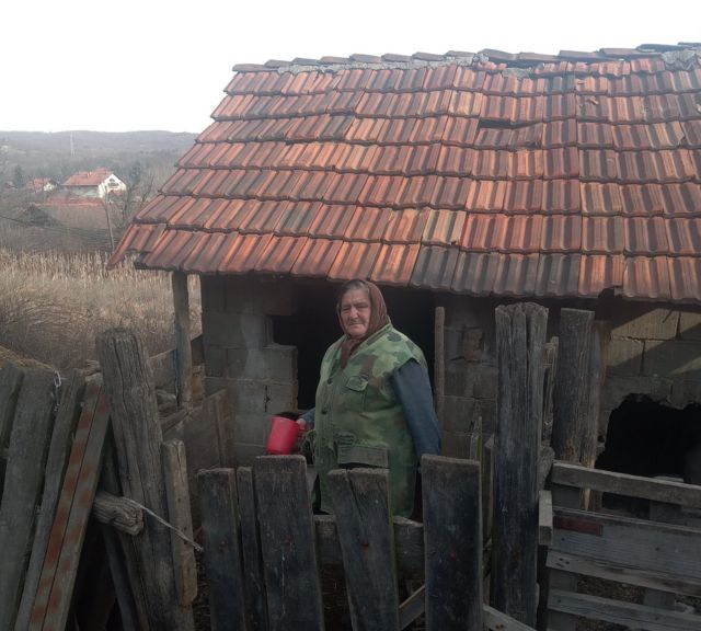 slavka jović