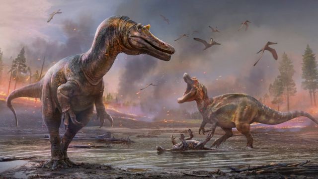 Вегетаріанські та всеядні види динозаврів