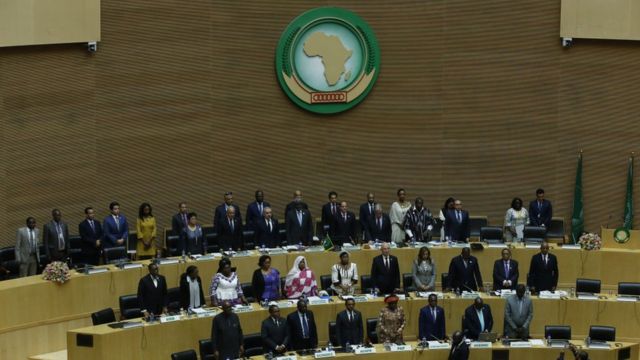 the african union